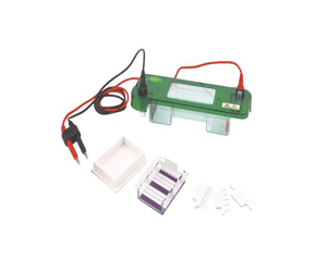 伯樂(lè)小型垂直電泳槽（Biorad Mini-PROTEAN Tetra Electrophoresis System）1