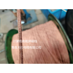 DJYVP、DJYPVP儀表信號計(jì)算機(jī)電纜生產(chǎn)廠家 天行品牌 生產(chǎn)定制
