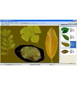 LA-S型植物葉面積、病斑、蟲損、葉色分檔分析儀系統(tǒng)